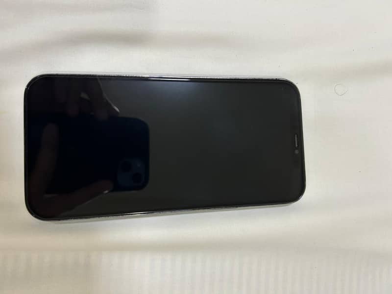 Apple iPhone 12 Pro Max 1