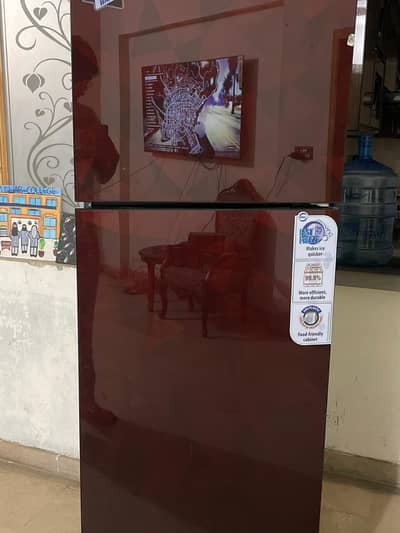 PEL Refrigerators conditions 10/10 with 10 years warranty L size