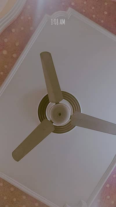 3 fans for urgent sale