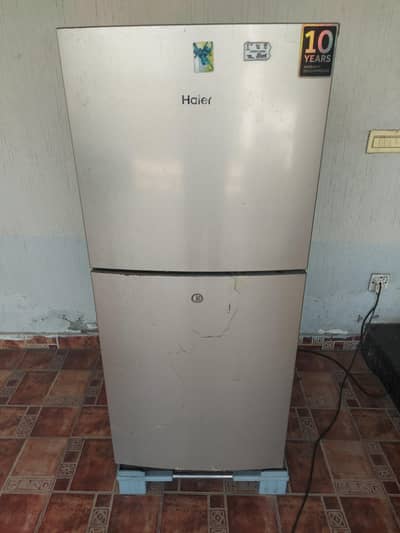 Haier mediam size fridge
