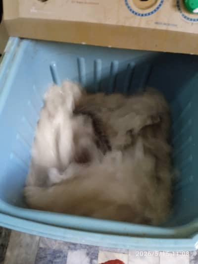 washing machine good condtion