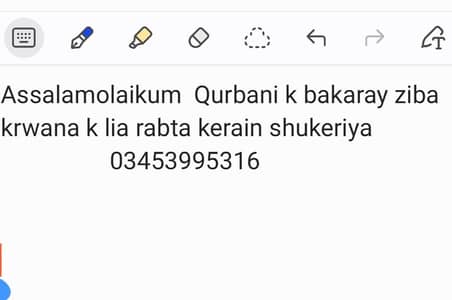 Qasai available