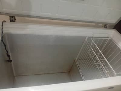 pel freezer
