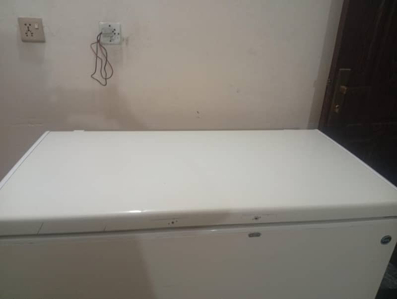 pel freezer 1