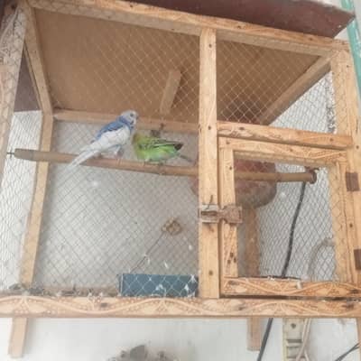 urgent for sale need money