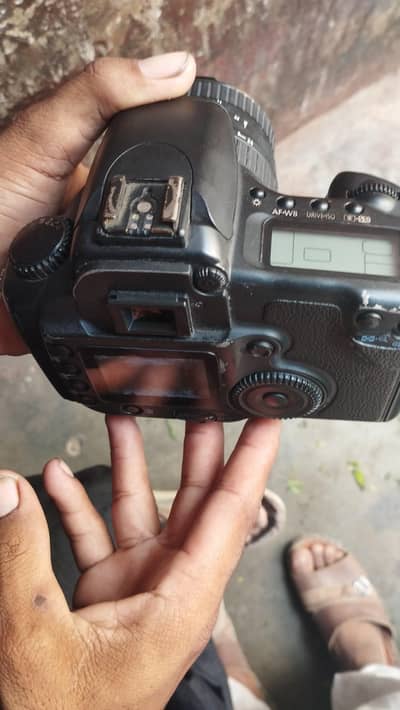 Canon EOS 20D with Sigma 24-70mm Lens