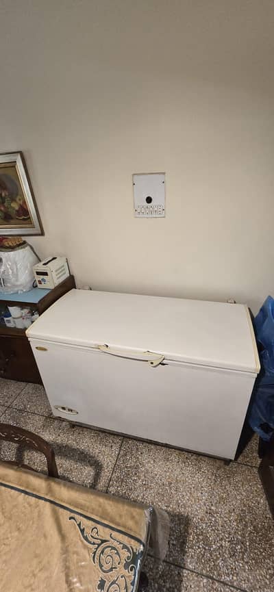 Waves Deep Freezer for Sale – Just Like New very carefully used