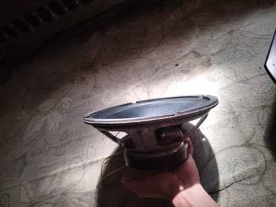 10 inch subwoofer