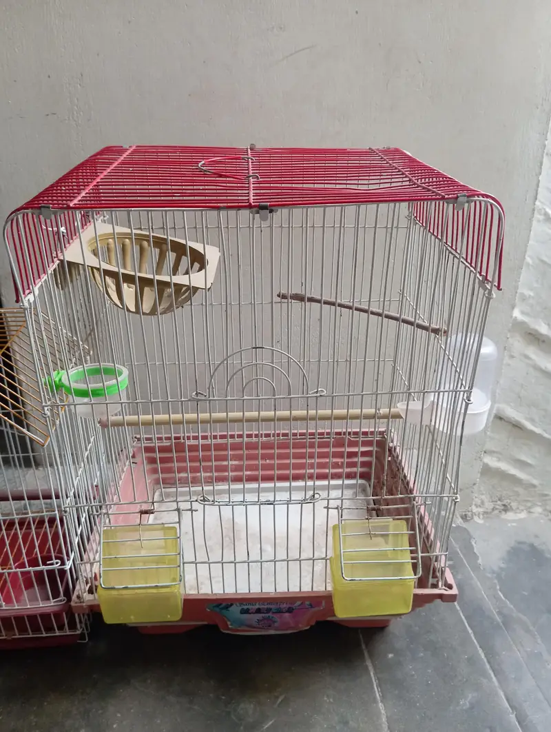 Canary Cages — photo 2