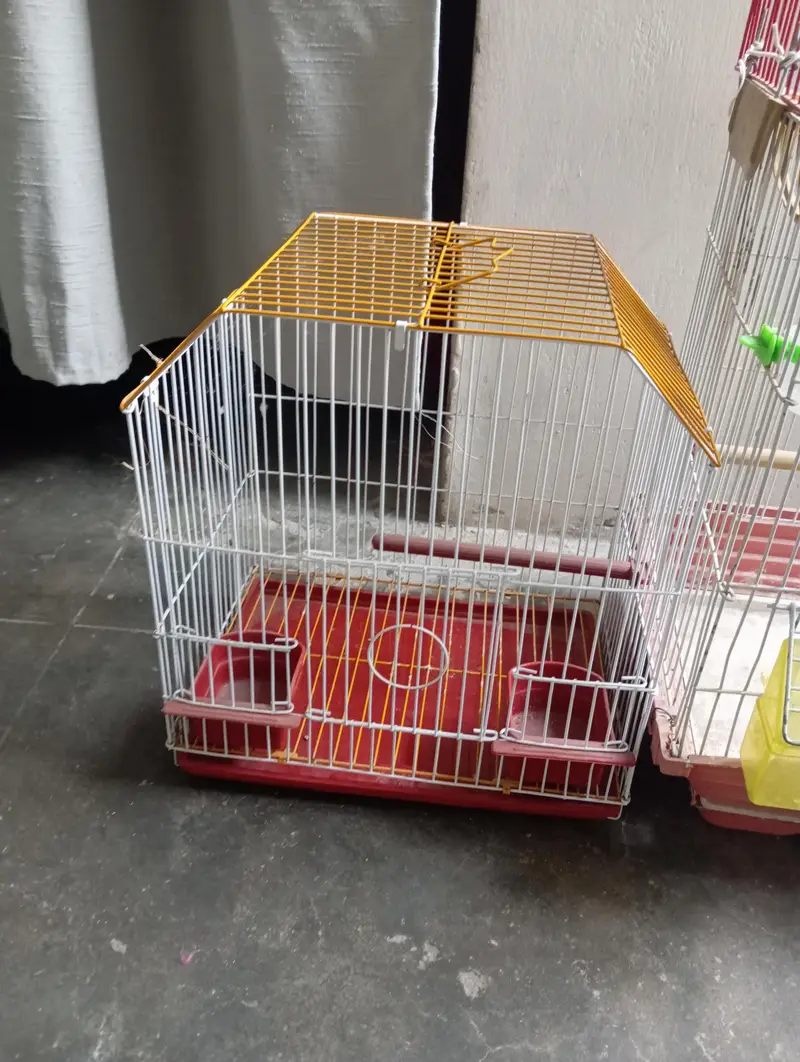 Canary Cages — photo 3