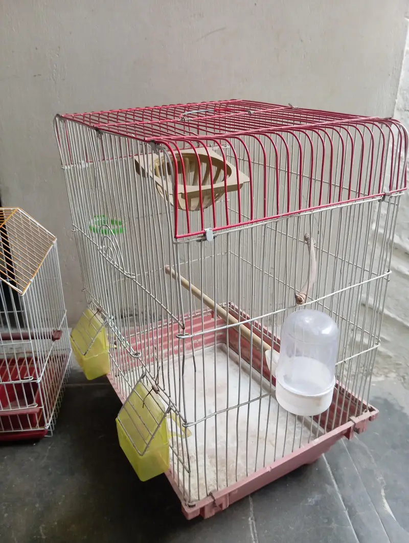 Canary Cages — photo 4