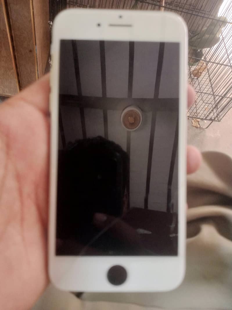 Apple iPhone 7 1