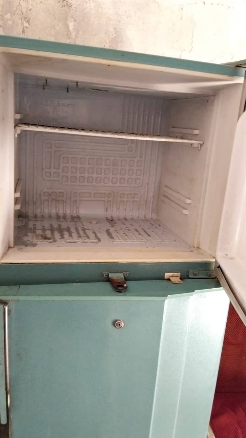 Waves Fridge 4