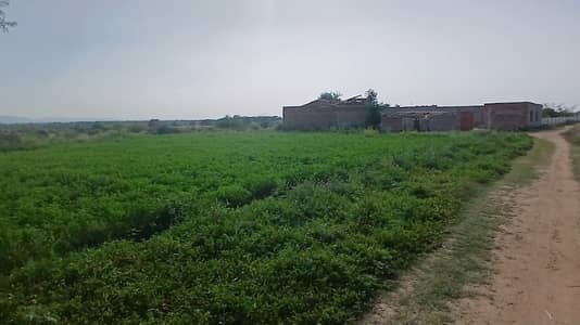 88 kanal agriculture land for sale chakwal