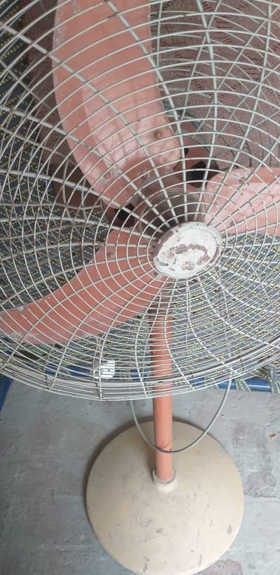chana. Fan