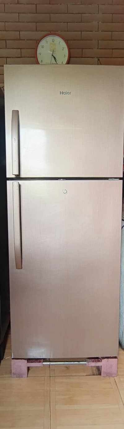 Haier Double Door Refrigirator | Excellent Cooling | 03324026502