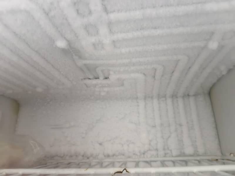 Orient Fridge 5