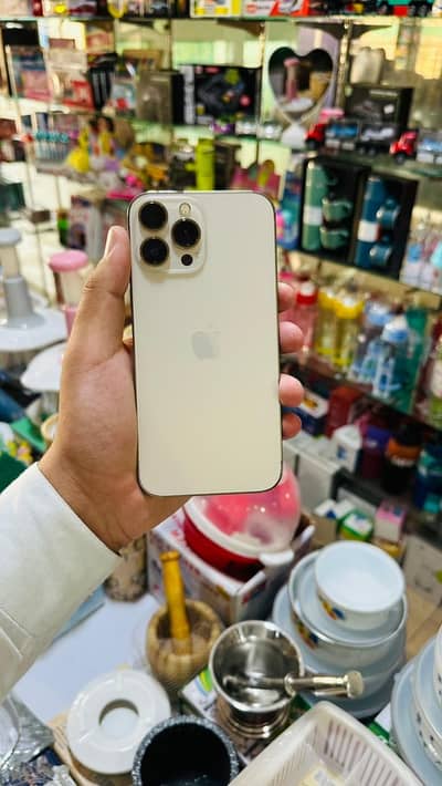 IPHONE 13 PRO MAX