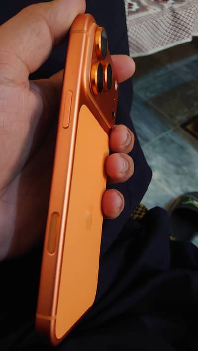 17 pro max  256 gb