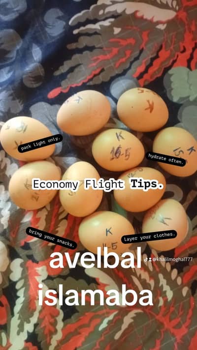 aseel hera and moshka eggs