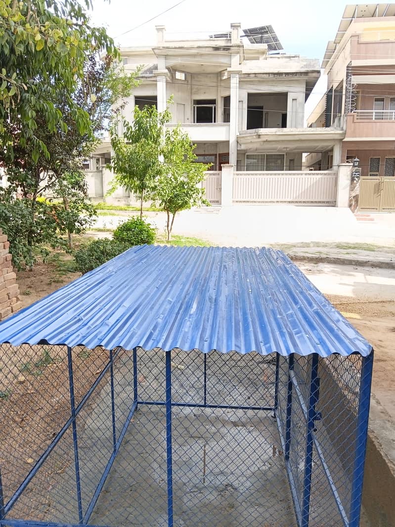 Hen Cage 1