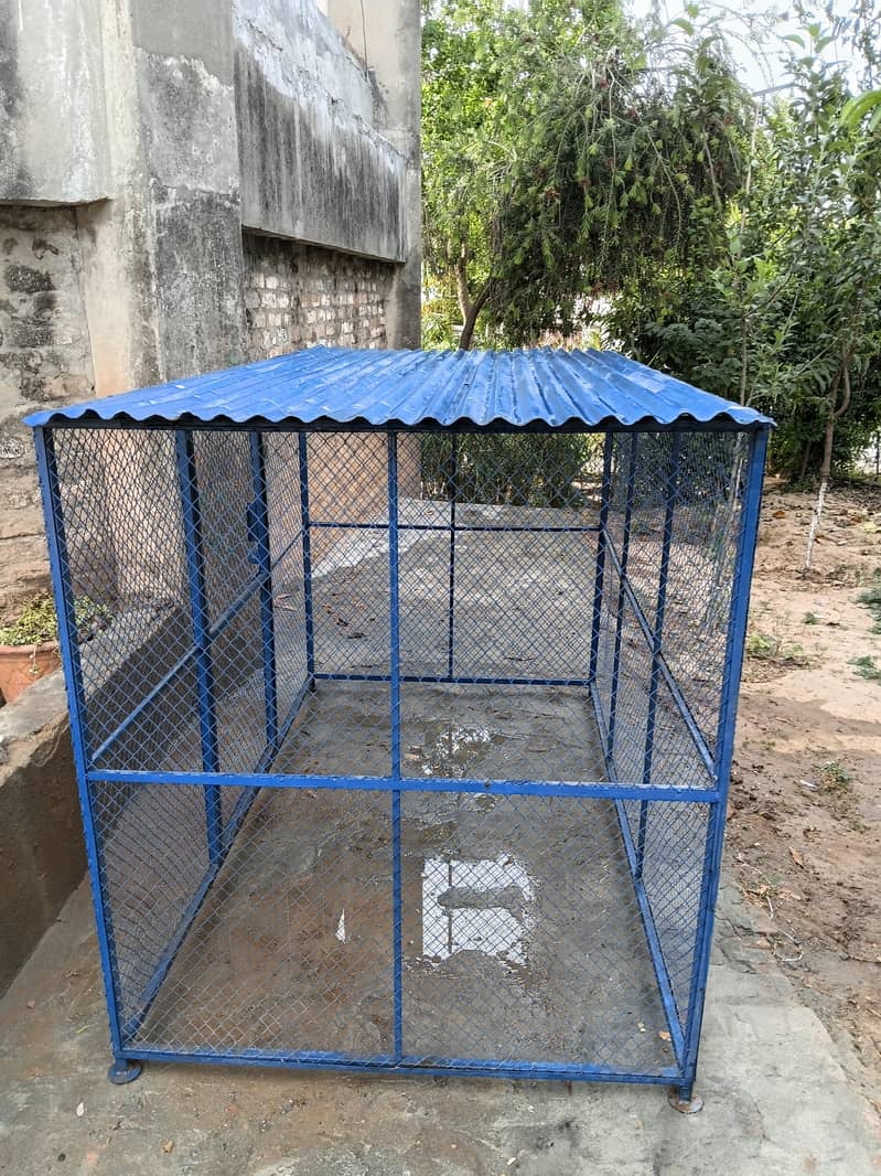 Hen Cage 4