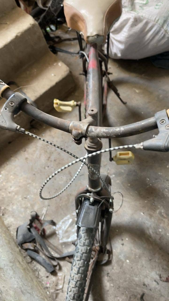 Bicycle  1