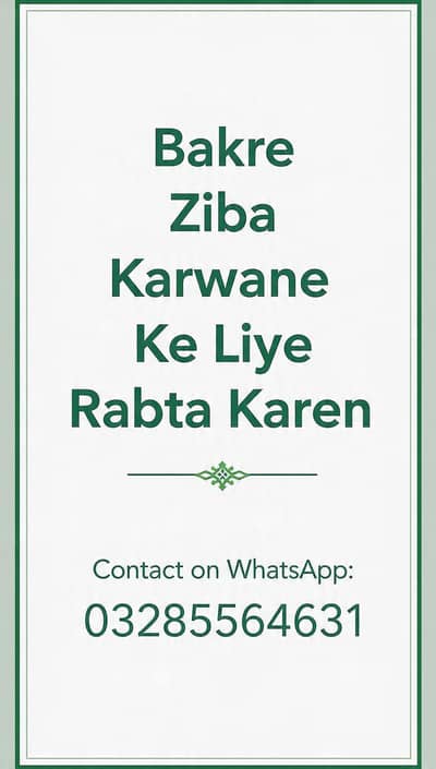 contact Whatsapp number :   03285564631