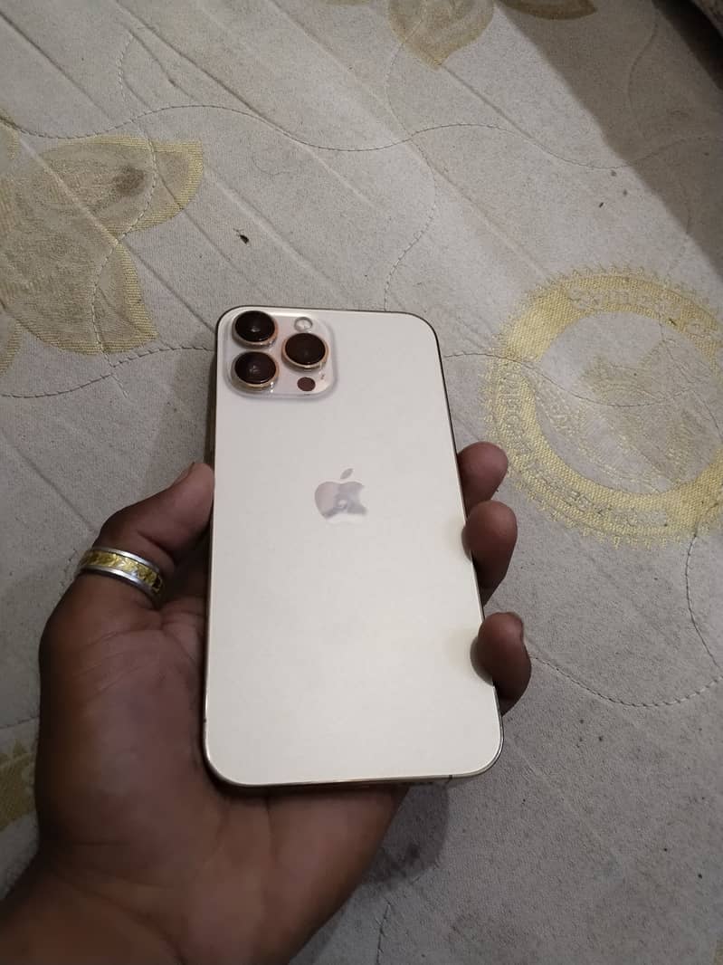 iPhone 13 Pro Max 1