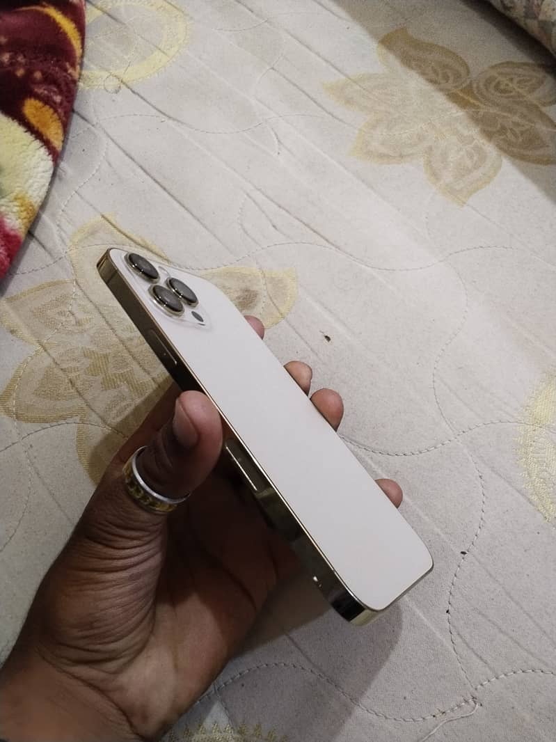 iPhone 13 Pro Max 2