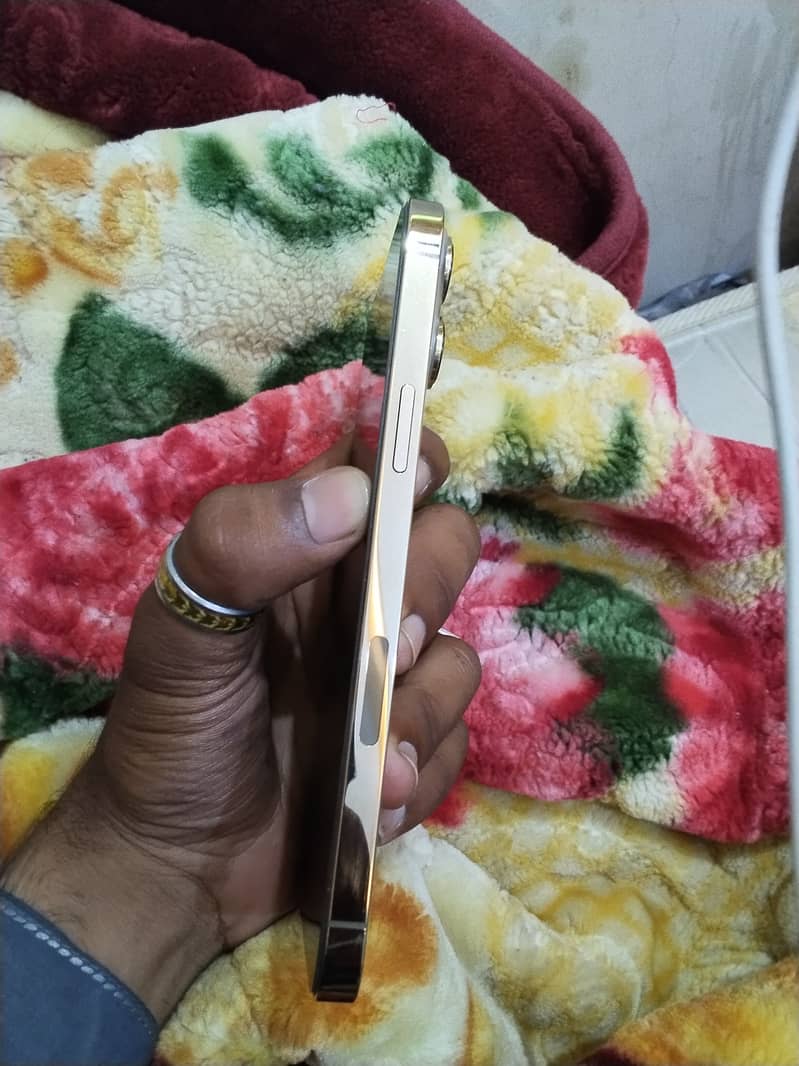 iPhone 13 Pro Max 4