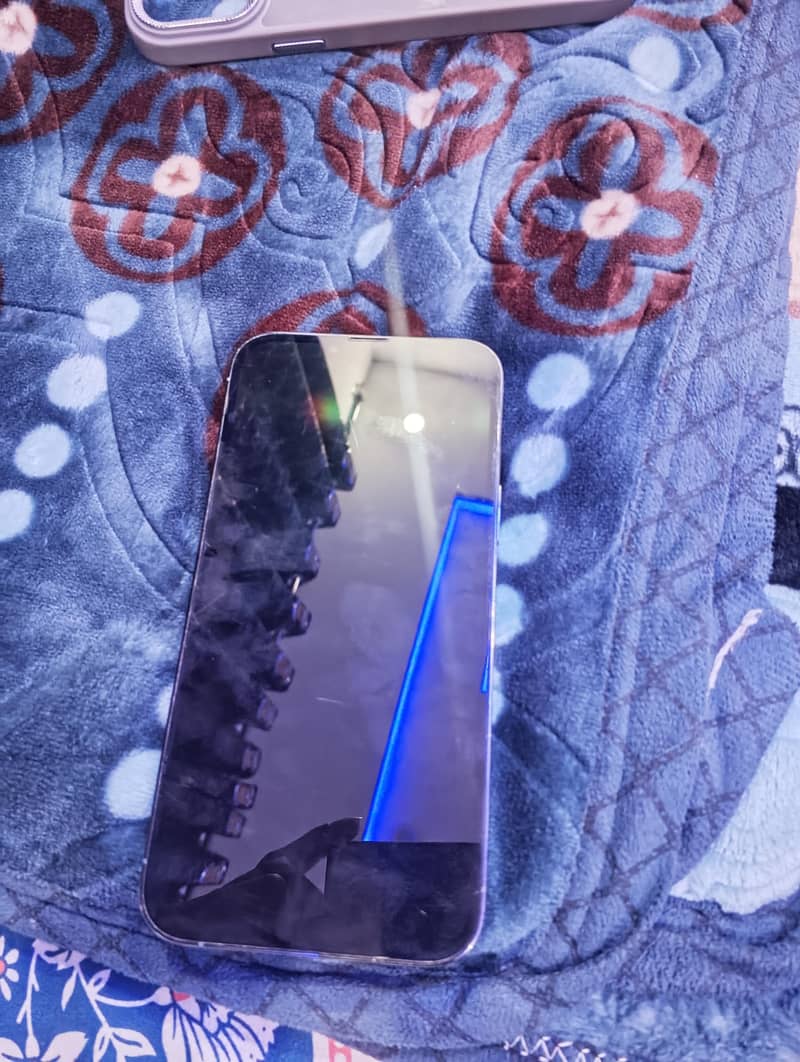 Apple iPhone 13 Pro Max 1