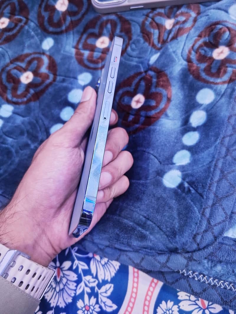 Apple iPhone 13 Pro Max 2
