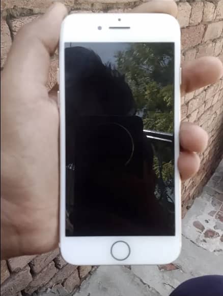 Apple iPhone 7 1
