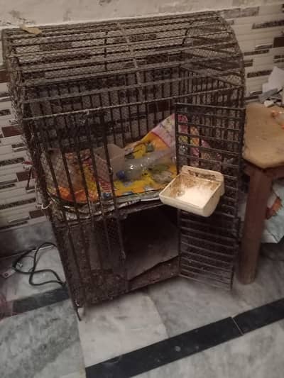 heavy cage for sale