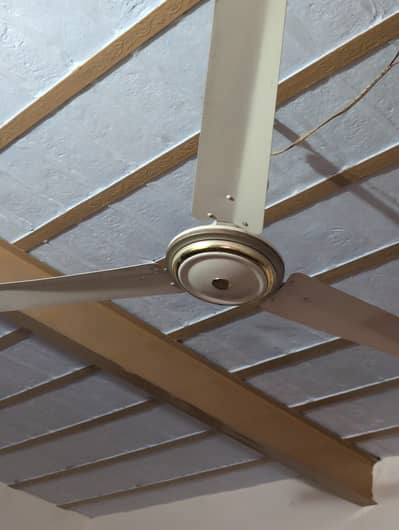 Ceiling Fans