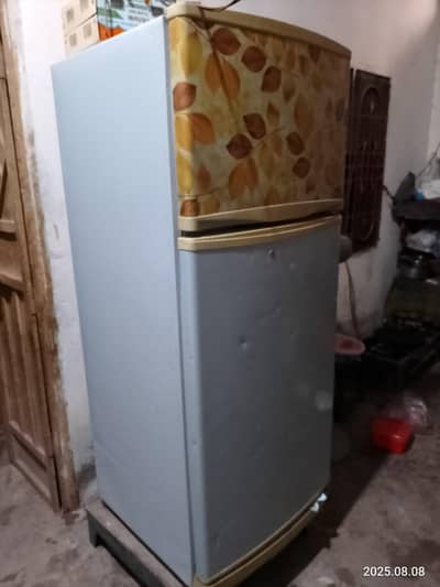 Medaum Size Fridge