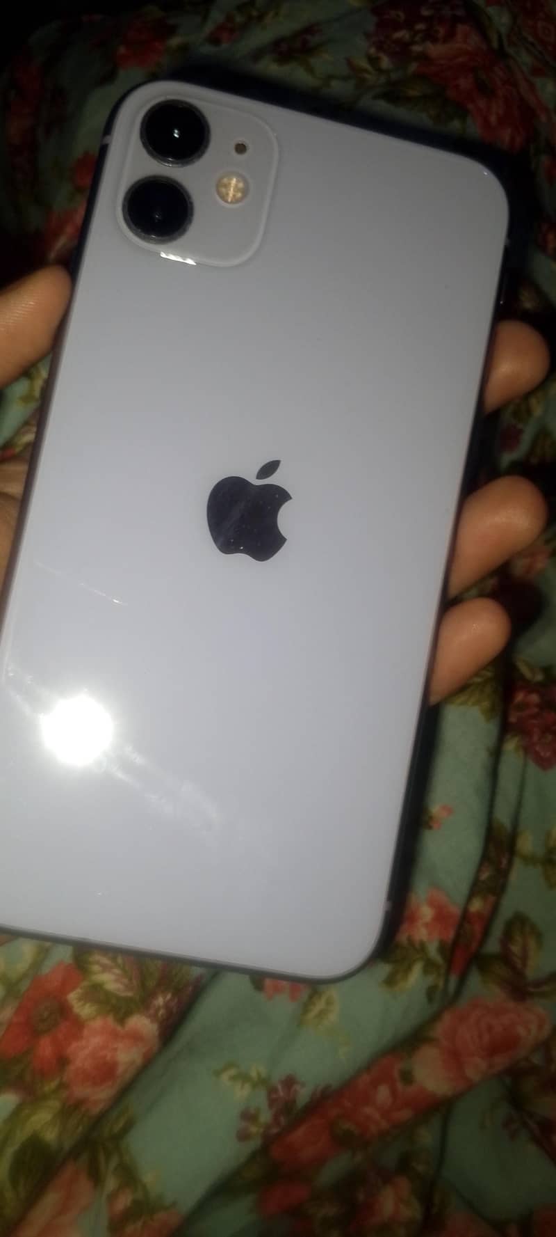 Apple iPhone 11 0