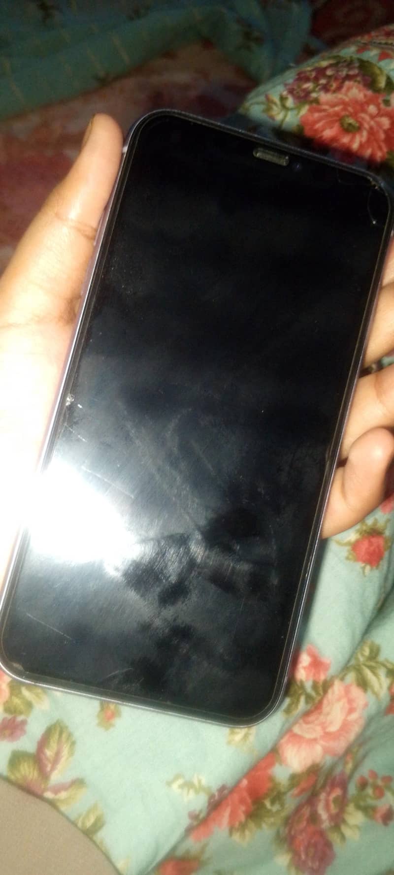 Apple iPhone 11 1