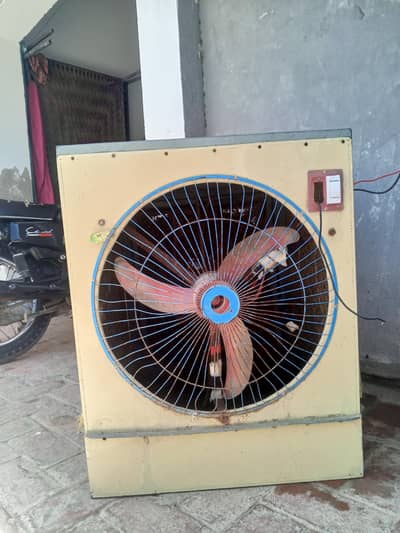 medium size coller