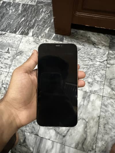 iPhone 12 Pro Max - 128 GB