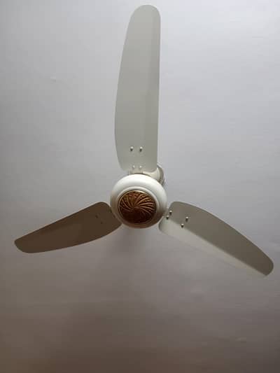 royal celling fan