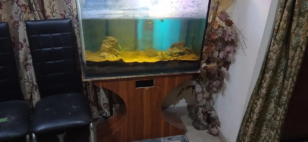 planted Aquarium for sale. — photo 4