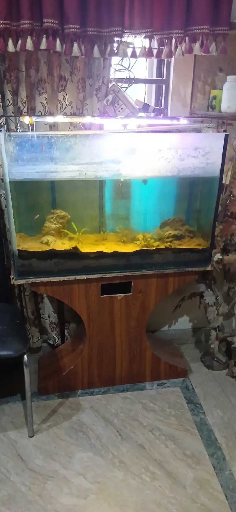 planted Aquarium for sale. — photo 5