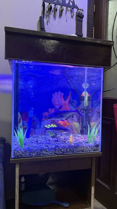Aquarium