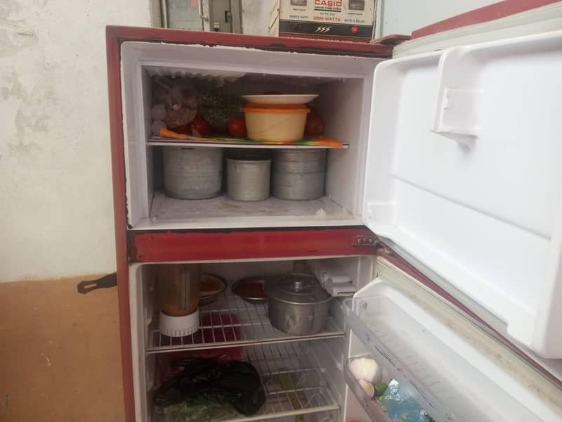 fridge 2