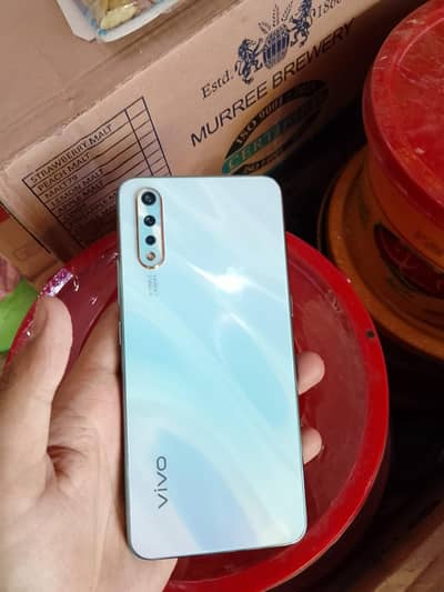 vivos1