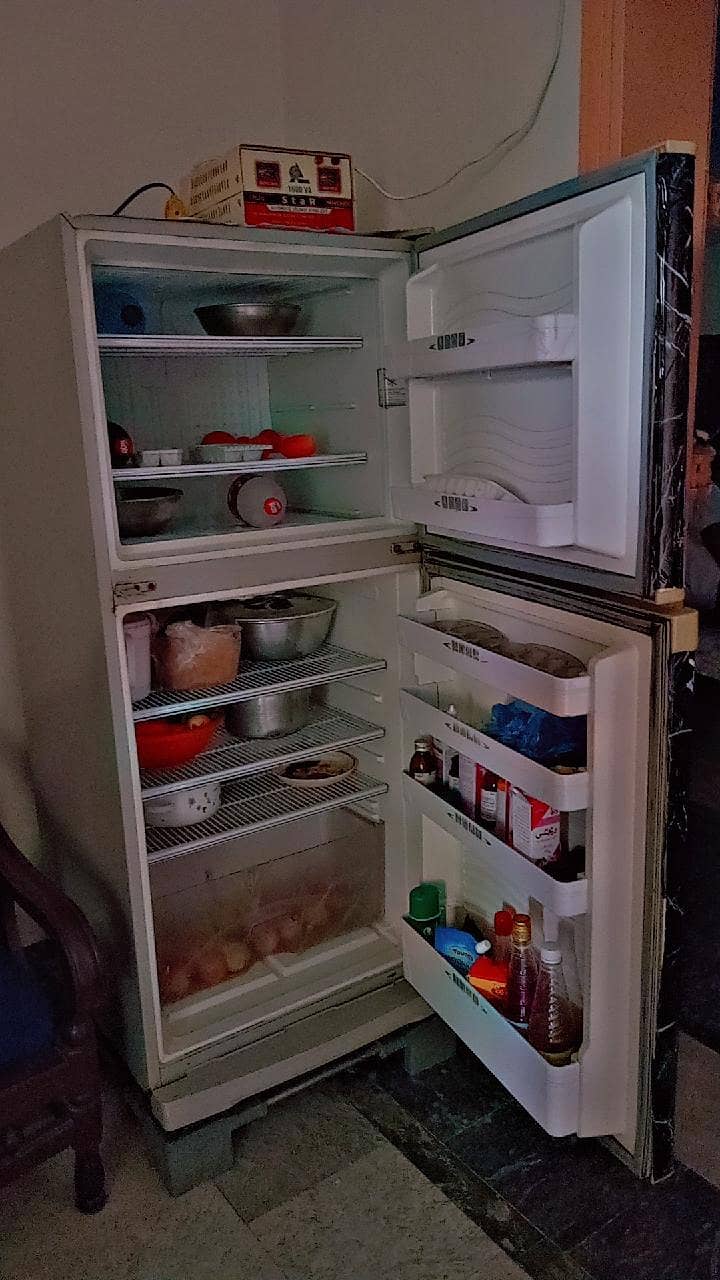 fridge 1