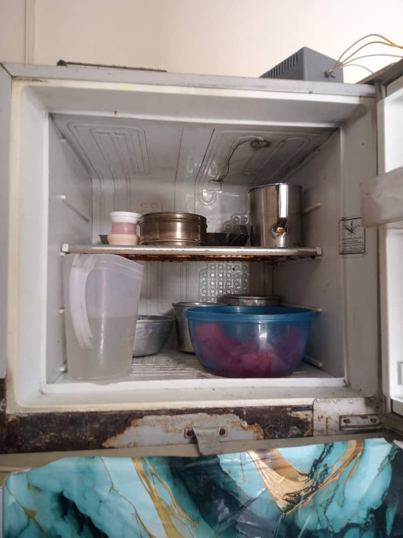 fridge 1