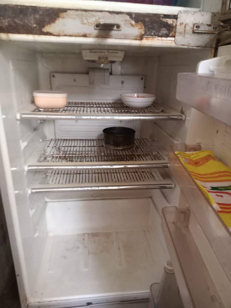 fridge 3